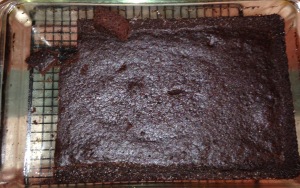 Chocolate Cake Coconut Flour